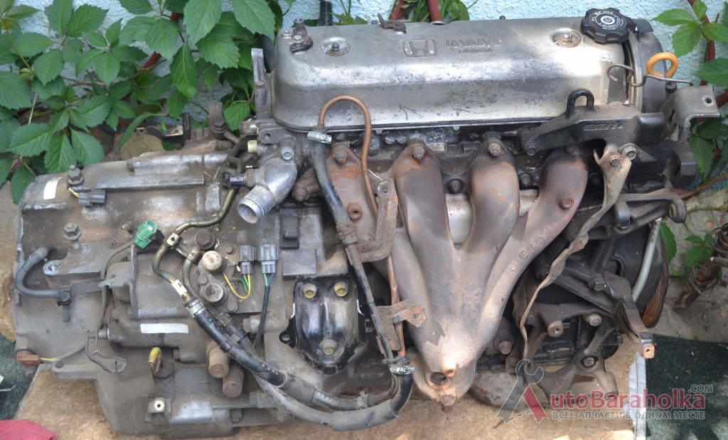 Продам Двигатель Honda Accord 2.0 л 16 клапанный в хорошем состоянии полностью готов к работе Днепропетровск 